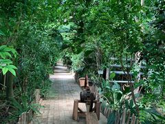 -北京呀路古热带植物园
