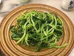 清炒鸡毛菜-京城小江南·土菜馆·蒸白鱼(东四十条店)