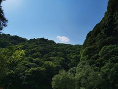 -少华山国家森林公园