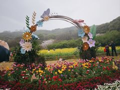 -苏州上方山国家森林公园