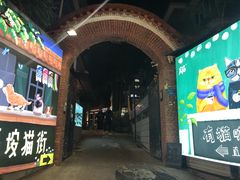 -有猫主题·治愈系猫咖(曾厝垵店)