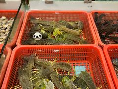 -渔民新村(番禺总店)