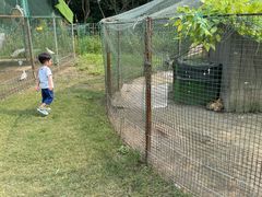 -前小桔亲子创意农场·草莓采摘·露营烧烤