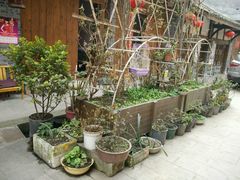 -海窝子古镇