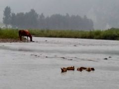 -百里峡七彩艺术小镇