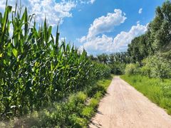 -野鸭湖国家湿地公园