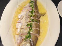 -茶人村·前滩江景雅宴(上海首店)