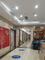 -碧莲盛·不剃发植发