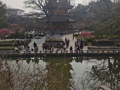-红梅公园