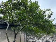 -天一阁博物院
