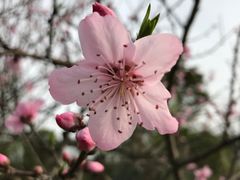 -白鹭湾湿地公园