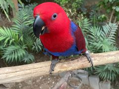 -南宫五洲植物乐园