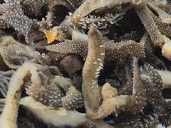 -北三沙家烧麦(北头道街店)