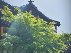 -香积寺