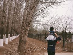 -开心庄园