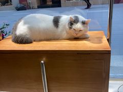 -粥之源(光明路店)