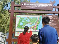 -大亚湾红树林城市湿地公园