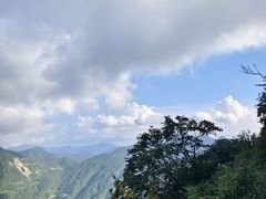 -兴教寺