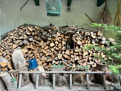 -三鹰之森吉卜力美术馆