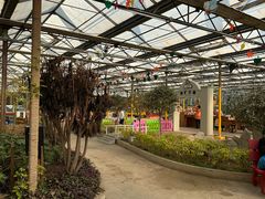 -南宫五洲植物乐园