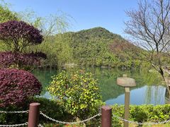 -桃花岭景区