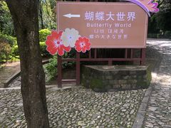 -蝴蝶泉公园