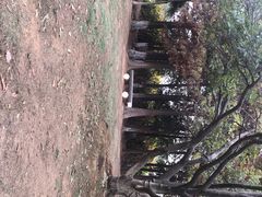 -艾溪湖湿地公园