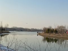 -东郊湿地公园