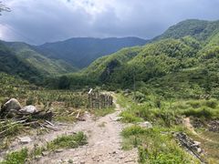 -萍乡武功山风景名胜区