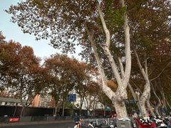 -新华书店(新街口旗舰店)