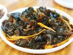 凉拌木耳-双塔老饭店