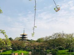 -东湖生态旅游风景区