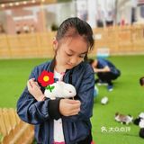 亲子必玩[礼花]亲子动物乐园[亲亲]