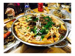 -金孔雀温泉旅游度假村