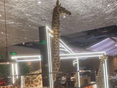 -四小姐的店(泉舜店)