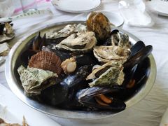 -宾朋海鲜特色美食餐厅·纯手工鲅鱼水饺(兴海路店)