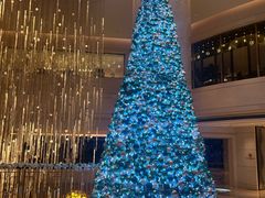 -景er The Balcony自助餐厅·北京东方君悦大酒店