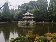 -习家池