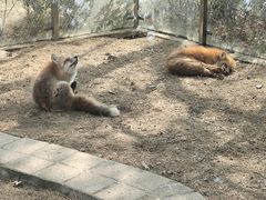 -无锡动物园·太湖欢乐园