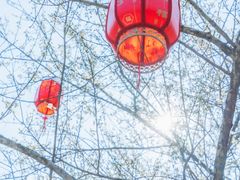 -广州市白云山风景名胜区