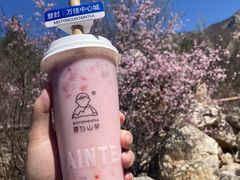 -雾与山茶(大禹城店)