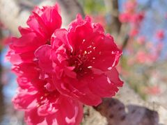 -皇城根遗址公园-东安门遗址