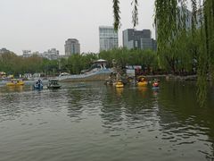 -团结湖公园