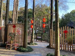 -上海醉白池公园
