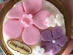 -哈根达斯(美罗城店)