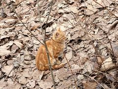 -终南山南五台景区