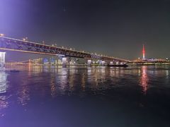 -武汉两江游览·夜游长江(汉口粤汉码头)