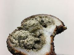 黑芝麻双酿团-沈大成(城隍庙店)