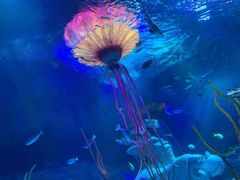 -沈阳海洋探索中心