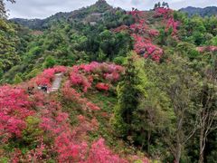 -岳西天峡风景区